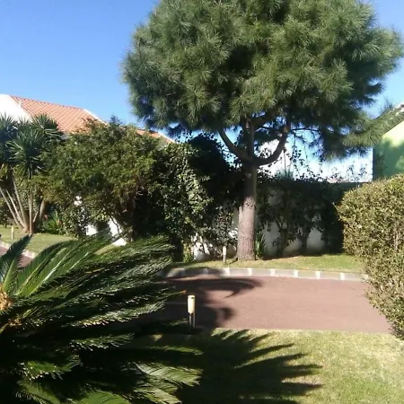 Impeccable 1 Bed Villa In Ribeira Grande Exterior photo